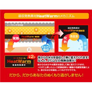 Heat Warm（ヒートウォーム） 発熱あったか2枚合わせ毛布 ダブル ブラウン 写真5
