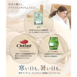 【送料無料】アウトラスト(R) 日本製羽毛布団 セミダブル