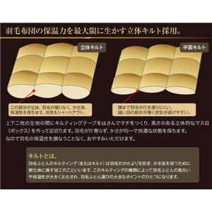 【送料無料】アウトラスト(R) 日本製羽毛布団 セミダブル