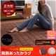 HeatWarm(ヒートウォーム) 発熱あったかラグ【正方形185cm×185cm】(NT) 正方形 ブラウン