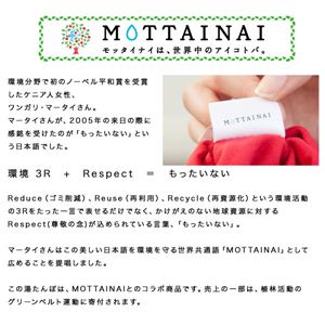 fashy（ファシー）社製 MOTTAINAI 湯たんぽ（NT） ベージュ