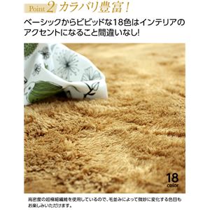E×マイクロファイバー洗えるラグマット (100×140cm) アイボリー