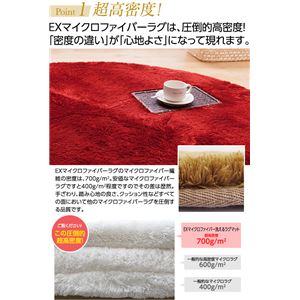 E×マイクロファイバー洗えるラグマット (100×140cm) ブラック