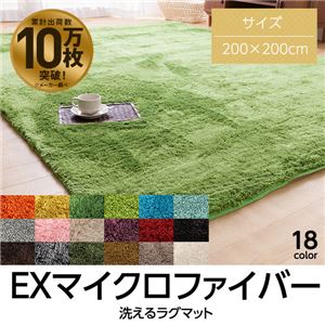 E×マイクロファイバー洗えるラグマット (200×200cm 正方形) ブラウン E×マイクロファイバー洗えるラグマット (200×200cm 正方形) ブラウン