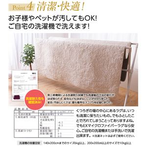 E×マイクロファイバー洗えるラグマット (200×250cm) キャメル