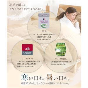 �H�ѕz�c���{�� �A�E�g���X�g�H�ѕz�c �V���O�� �A�C�{���[