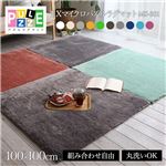 EXマイクロファイバー洗えるパズルラグマット MS301 100×100cm アイボリー
