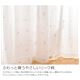 窓を飾るカーテン（デザインとサイズが選べる8000パターン）Natura（ナチュラ）レースカーテン （MZ） 幅100cm×丈78cm（2枚組） ベージュ - 縮小画像2