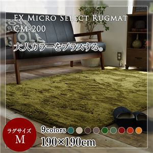 EXマイクロセレクトラグマットCM200 190×190cm （TOS） レンガ