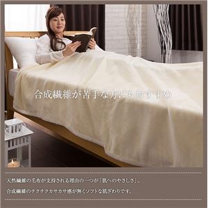 ニッケ 日本製 シルク毛布(毛羽部分100%) シングル 商品写真2