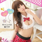 RXv 2011V ԃ`FbN~jXJZbg
