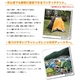 DOPPELGANGEROUTDOOR（ドッペルギャンガーアウトドア D.O.D）ワンタッチテント T301 【アウトドア】 - 縮小画像2