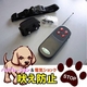 吠え防止機能付き首輪 愛犬のしつけに!バイブレーション&静電ショック