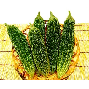 ڻľ󤻡겭컺ڡۥ䡼󣴣ʣܡ˲