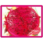 【産地直送お取り寄せ・季節限定沖縄産フルーツ】　ドラゴンフルーツ秀品２Ｋｇ（６玉前後）