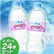 ミネラルウォーター エビアン1L×24本セット - 縮小画像1
