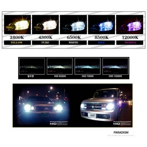 51%OFF D2C(D2S/D2R)HID 純正交換バルブ 8500K 35W/12V(2本入)
