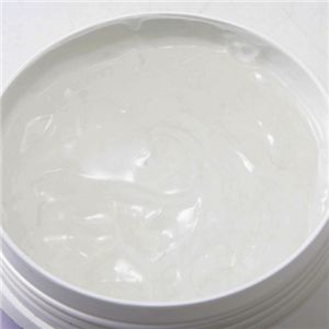 Υ󥪥륿 ǥץ󥸥󥰥ʥᥤȤ200g3