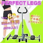 パーフェクトレッグ