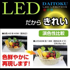 LEDָۥǥLEDָ20W˲4