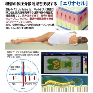【送料無料】 イタリア製 magniflex(マニフレックス) 新スタンダードマットレス モデル246 クイーン