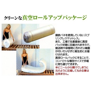 【送料無料】 イタリア製 magniflex(マニフレックス) 新スタンダードマットレス モデル246 クイーン