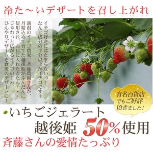 ƣΤ顼 102
