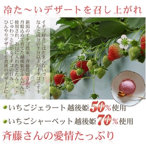 ƣΤ顼&㡼٥å  102