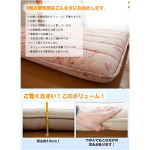 �􂦂�z�c�{�����[��3�w���~�z�c�i�����Z�x���X�Ȏg�p�E�����܂����j �Z�~�_�u�� �s���N ���n�F��100% ���{��