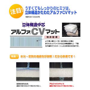 �􂦂�z�c�̈����U �{�����[�������Ղ�_�u�����b�Z���~�z�c 12cm���i�}�`�����^�C�v�j �V���O�� �u���[ ��100%