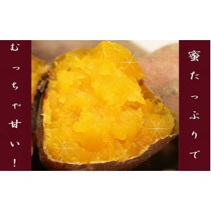 安納紅S品　５ｋｇ 