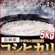 ʿ22ǯ ޤȷĹҥ5 ̿1