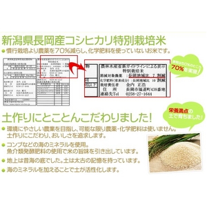 【平成22年産】やまもと健康農園の長岡産コシヒカリ白米 10kg（5kg×2袋）