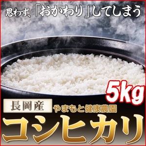 ʿ22ǯۤޤȷĹҥ긼 5kg
