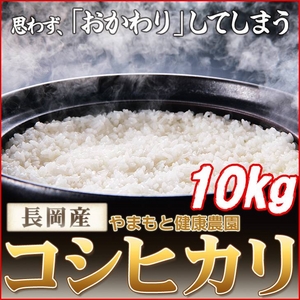 ʿ22ǯۤޤȷĹҥ긼 10kg5kg2ޡ˲