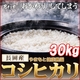 ʿ22ǯۤޤȷĹҥ긼 30kg10kg3ޡ ̿1