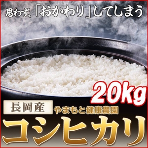 【送料無料】 【お歳暮用　のし付き（名入れ不可）平成22年産】やまもと健康農園の長岡産コシヒカリ白米 20kg（10kg×2袋）