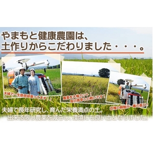 【送料無料】 【お歳暮用 のし付き(名入れ不可)平成22年産】やまもと健康農園の長岡産コシヒカリ白米 20kg(10kg×2袋)