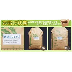 【送料無料】 【お歳暮用 のし付き(名入れ不可)平成22年産】やまもと健康農園の長岡産コシヒカリ白米 20kg(10kg×2袋)