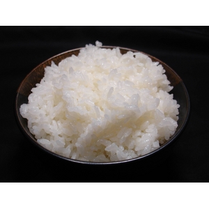 ۤޤȷο㸩Ĺҥ5kg6