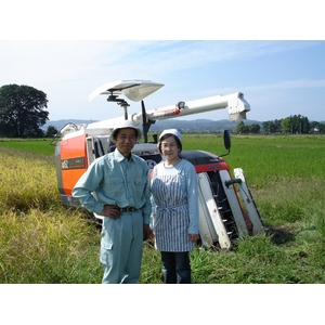 【訳あり】やまもと健康農園の新潟県長岡産コシヒカリ白米10kg（10kg×1袋）