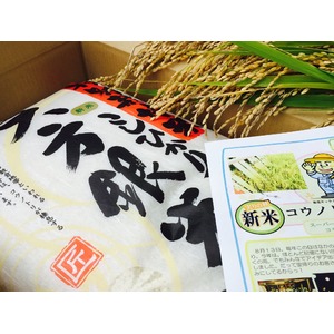 【平成29年産】コウノトリ舞い降りるコシヒカリ 六方銀米 5kg 玄米 商品写真2