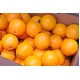 アメリカ産 ネーブルオレンジ 30玉 ネーブルオレンジ 30玉（約8Kg）画像