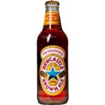 イギリス産ビール ニューキャッスル・ブラウンエール 瓶 330ml×24本