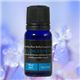 英国 OliverRich(オリバーリッチ) ウォータリングフレグランス コンセントレーション 10ml