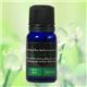 英国 OliverRich（オリバーリッチ） ウォータリングフレグランス ユーカリ 10ml