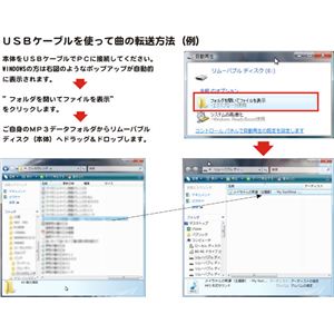 Ŵݡ2.2ż MP3MP4WMVץ졼䡼 4GB typeD ԥ 5奫ա˲2