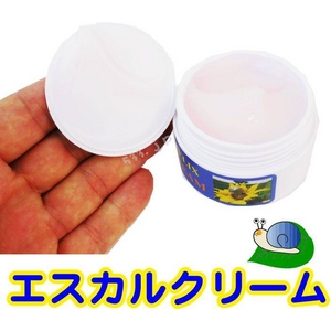 ŴݡۡۤĤʥ르˥۹祯꡼ 륯꡼60g ⥢ϥǥߤƤҤ4