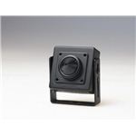 コロナ電業 マイク内蔵超小型カラーCCDカメラ ブラック TR-07CPM