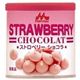 森乳サンワールド ワンラック ストロベリーショコラ 80g×24個 144470